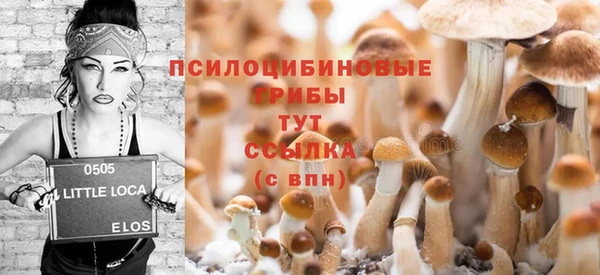 прущая мука Баксан